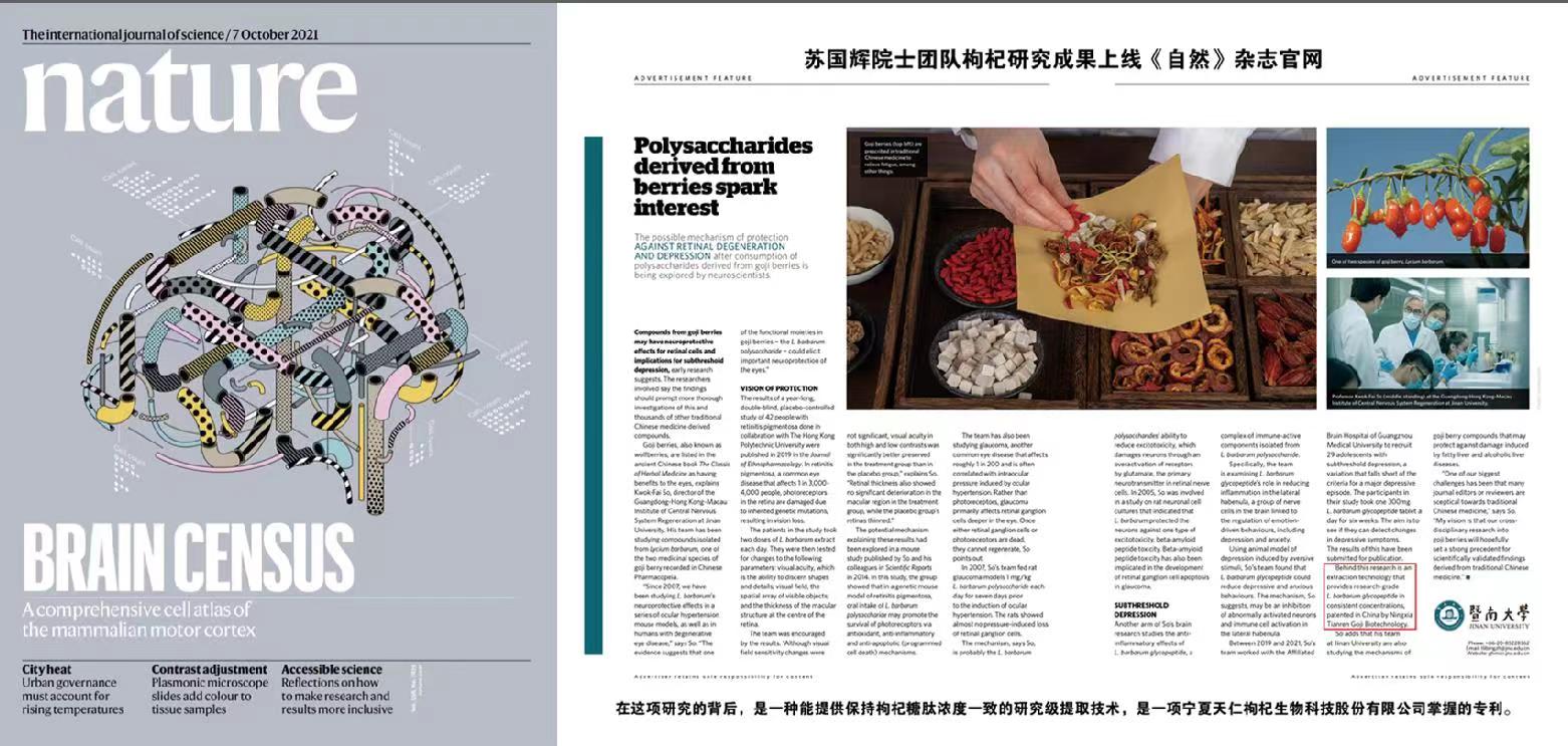 NATURE图片.jpg